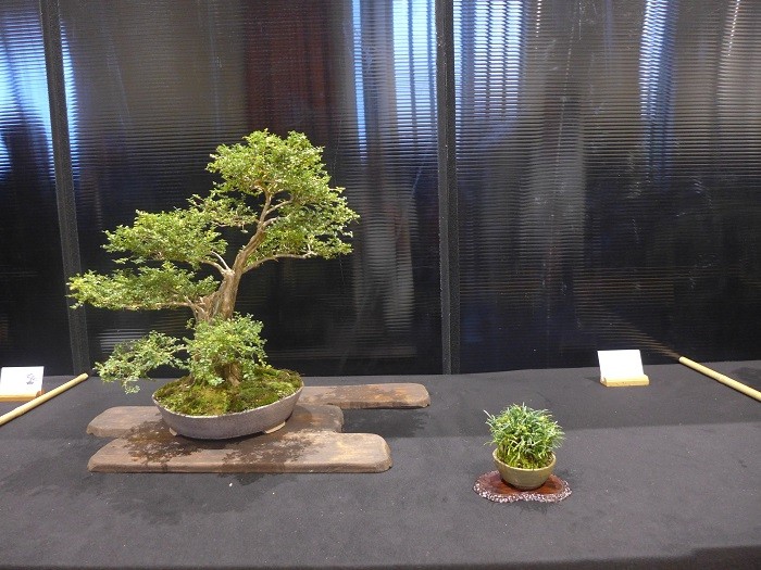 P1330314