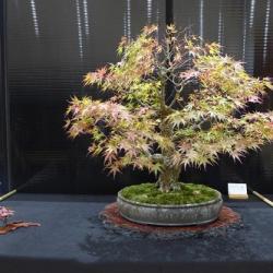P1330335