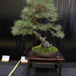 P1330339