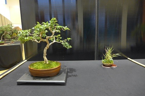 P1330377