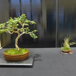P1330377