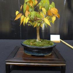 P1330421