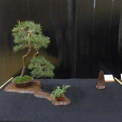 P1330423